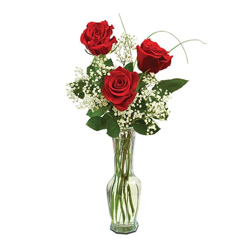 Classic Bud Vase Roses (BF112-11BV)